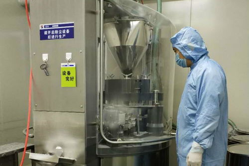 金花制藥廠順利完成GMP符合性自檢工作，全面承接總公司核心業(yè)務